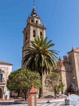 Ruta de bares y restaurantes por Talavera